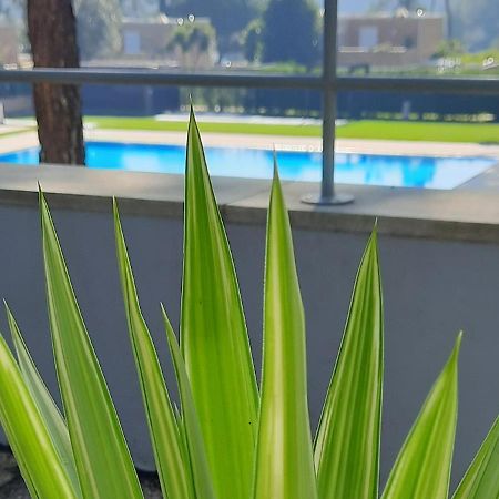 Barca House - Nature - Golf - Pool & Beach Esposende Exterior photo